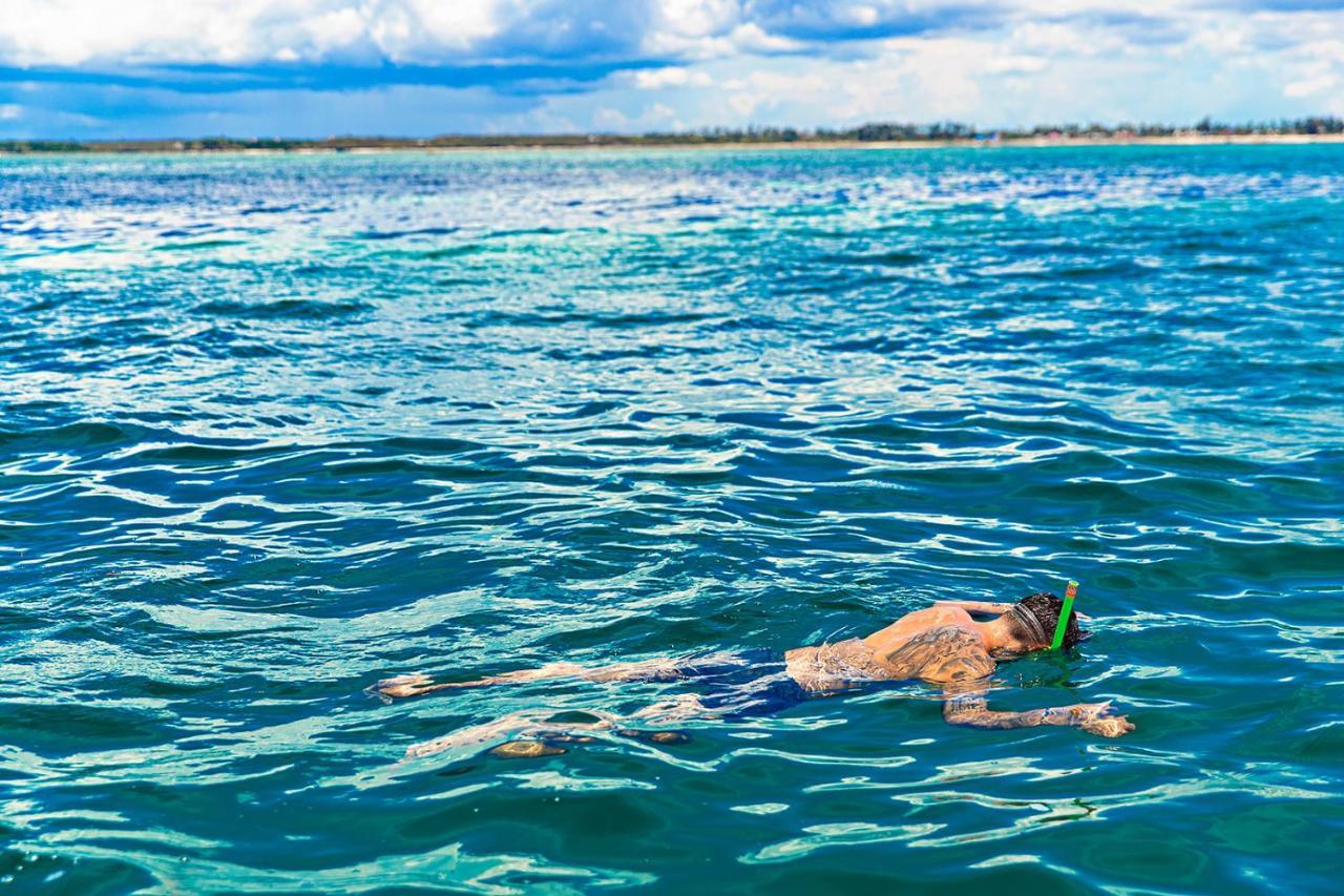 The Island - Pongwe Lodge (Adults Only) Екстериор снимка