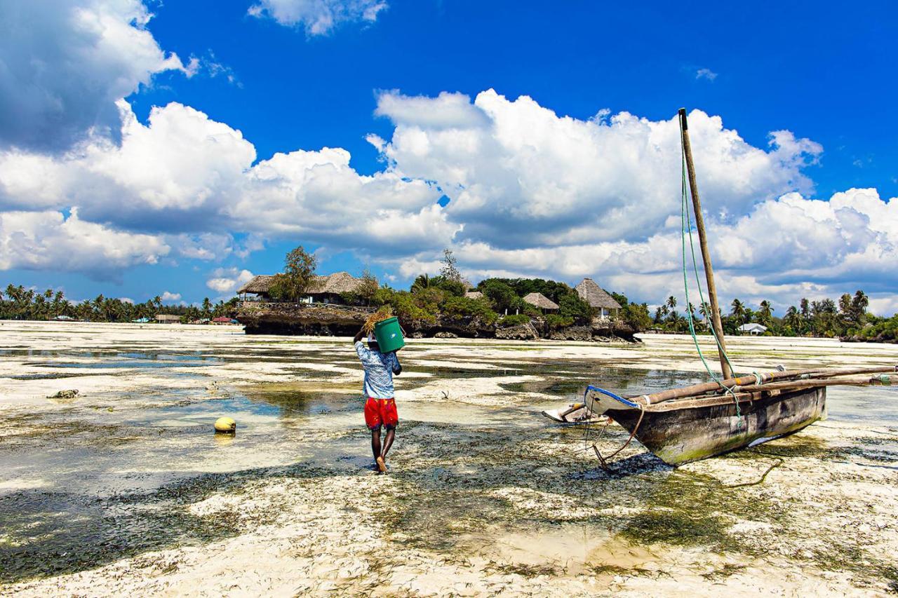The Island - Pongwe Lodge (Adults Only) Екстериор снимка